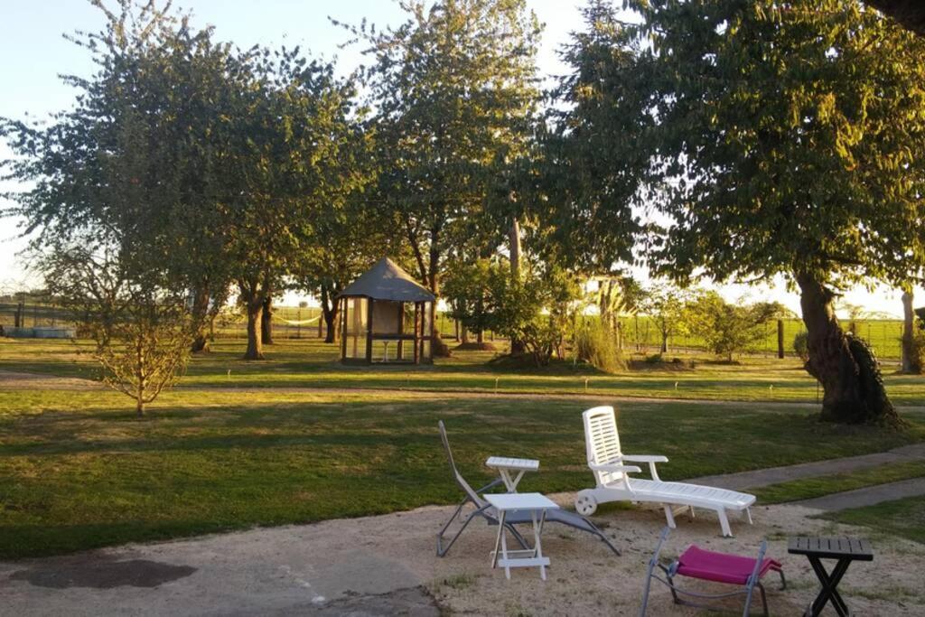 Chaumiere Du Chateau D'O Et Sa Mini Ferme ,Gite 21Couchages Goupil-Othon Екстер'єр фото